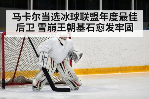 ice hockey defenseman